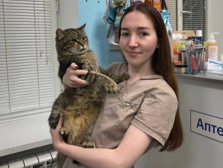 Honorary donor Boris the cat from Kursk saves cats' lives